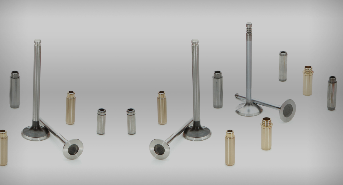 Valves and Guides FAI Auto